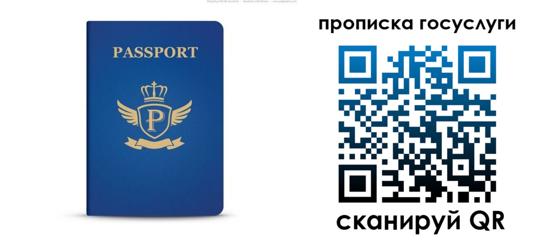 прописка для школы в Курганской области